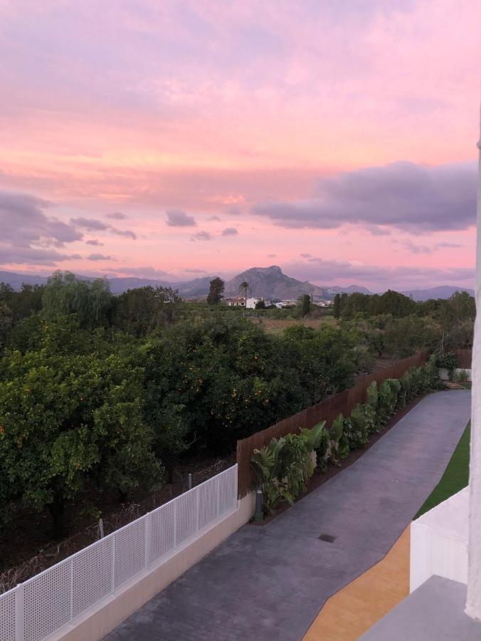 Sunny Apartment In Denia With Outdoor Swimming Pool And Garage Parking Place Included, 300M From The Sandy Beach Esterno foto